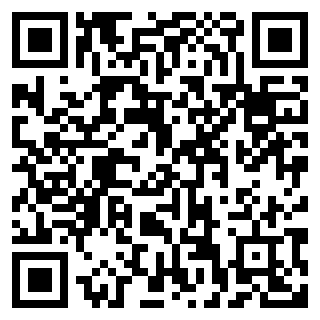 突击小队:秘密任务