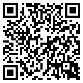 紧急行动：消防小队