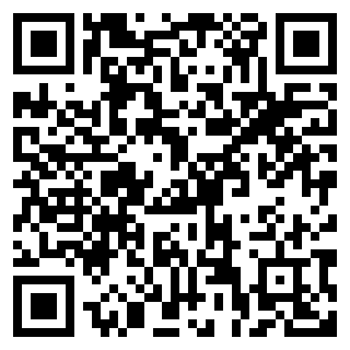 边境检察官真实模拟